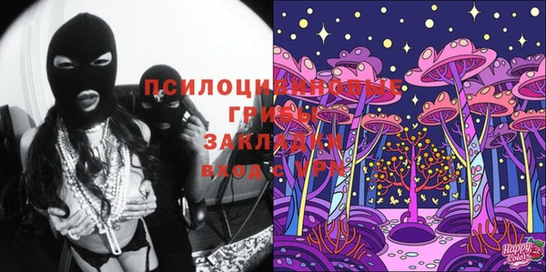 соль ск Абдулино