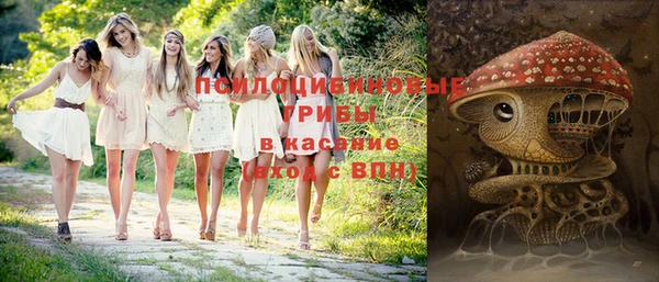 трава Абаза