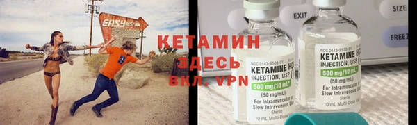 трава Абаза