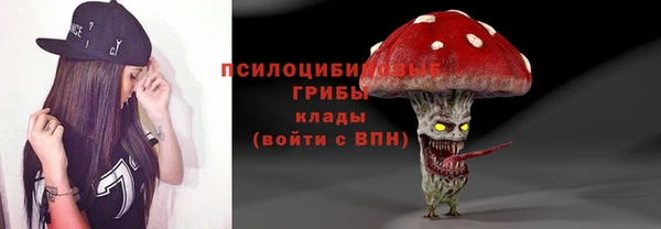 соль ск Абдулино