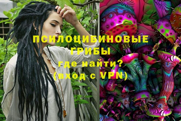 соль ск Абдулино