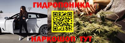 сатива Кулебаки
