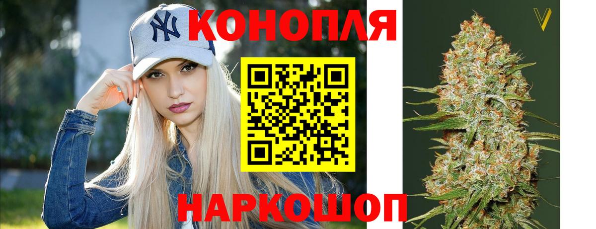Канабис семена Чита